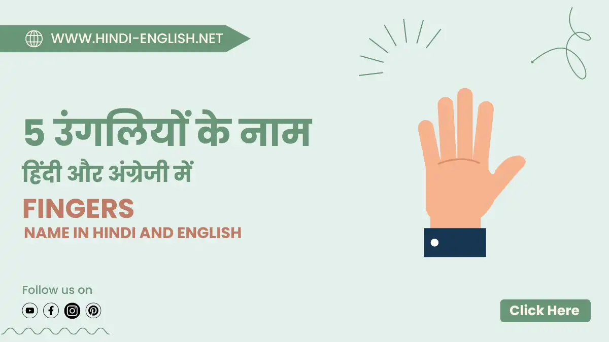 5 fingers name in hindi and english