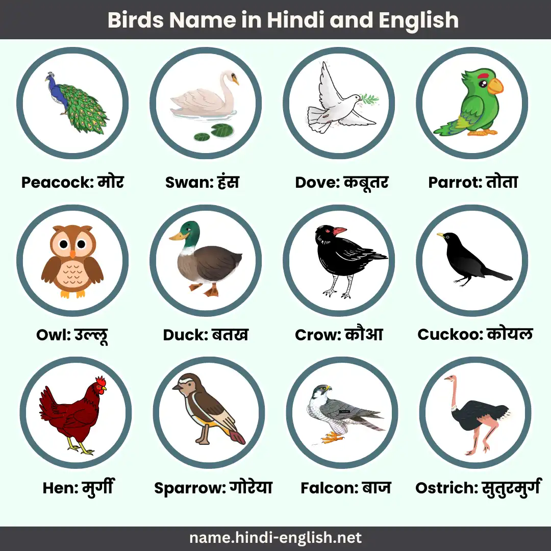 birds name in hindi and english with pictures