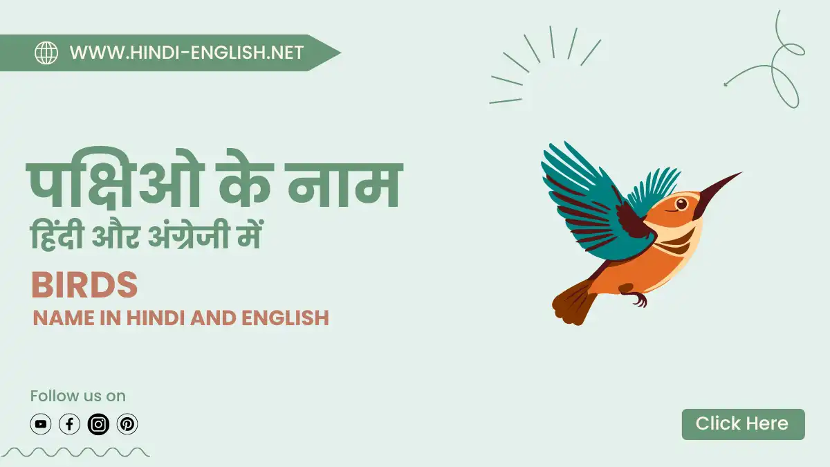 birds name in hindi and english