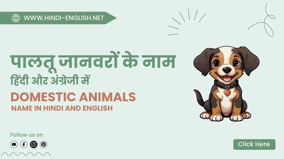 domestic animals name in hindi and english