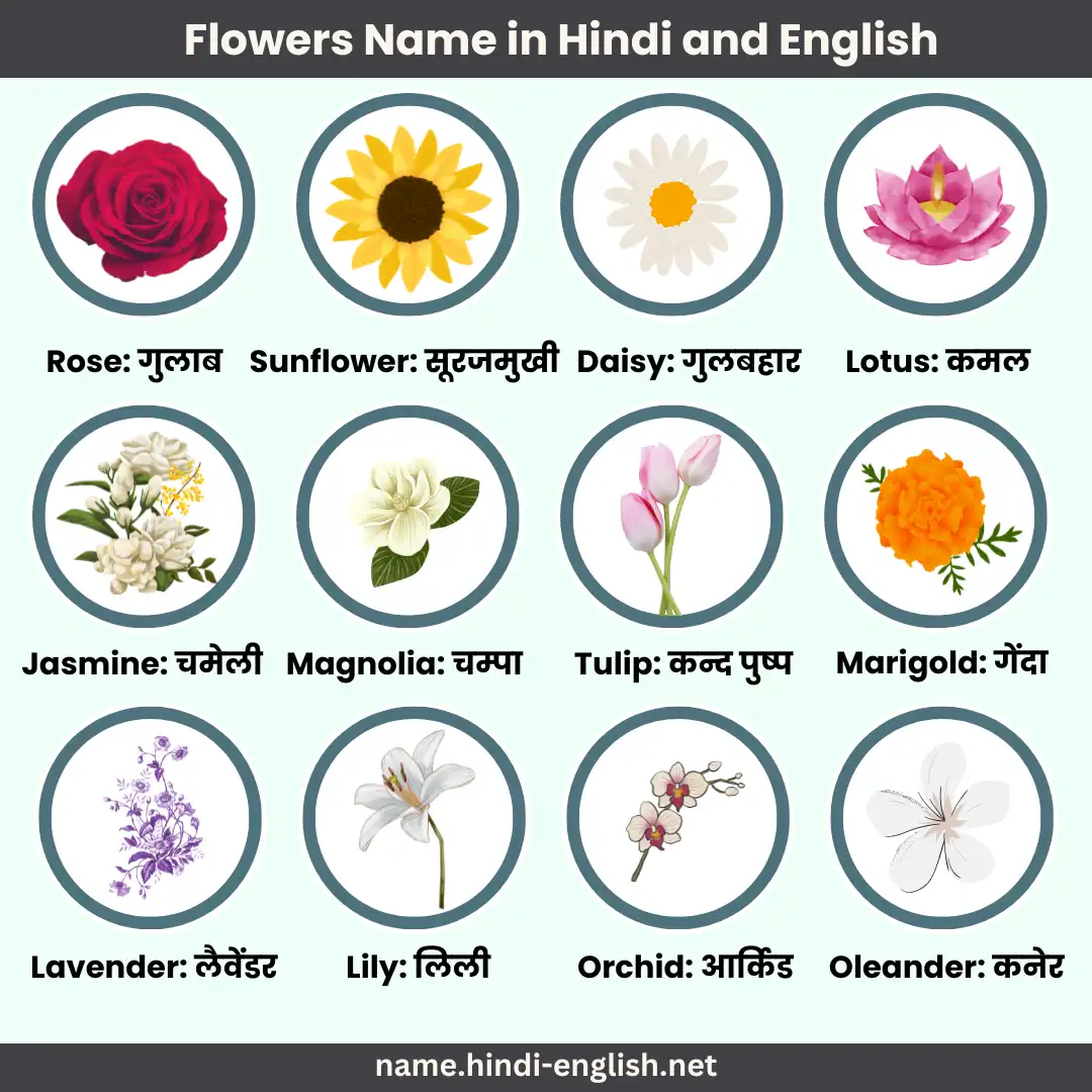 flowers name in hindi and english with pictures