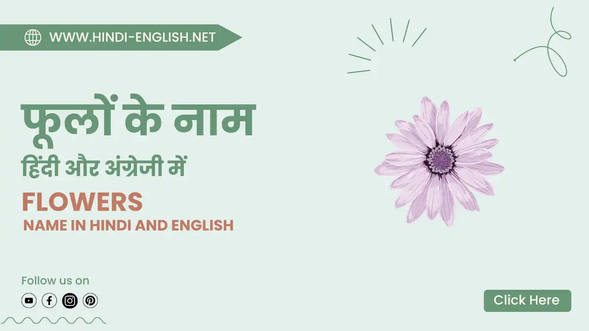 flowers name in hindi and english