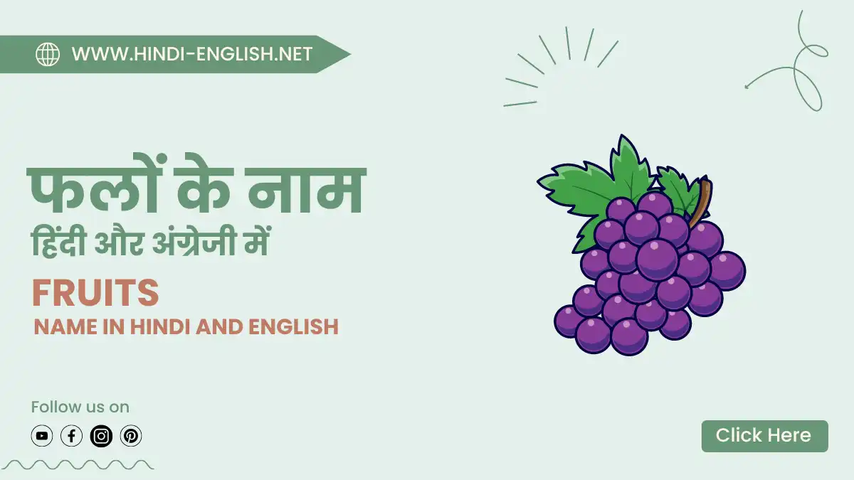 fruits name in hindi and english