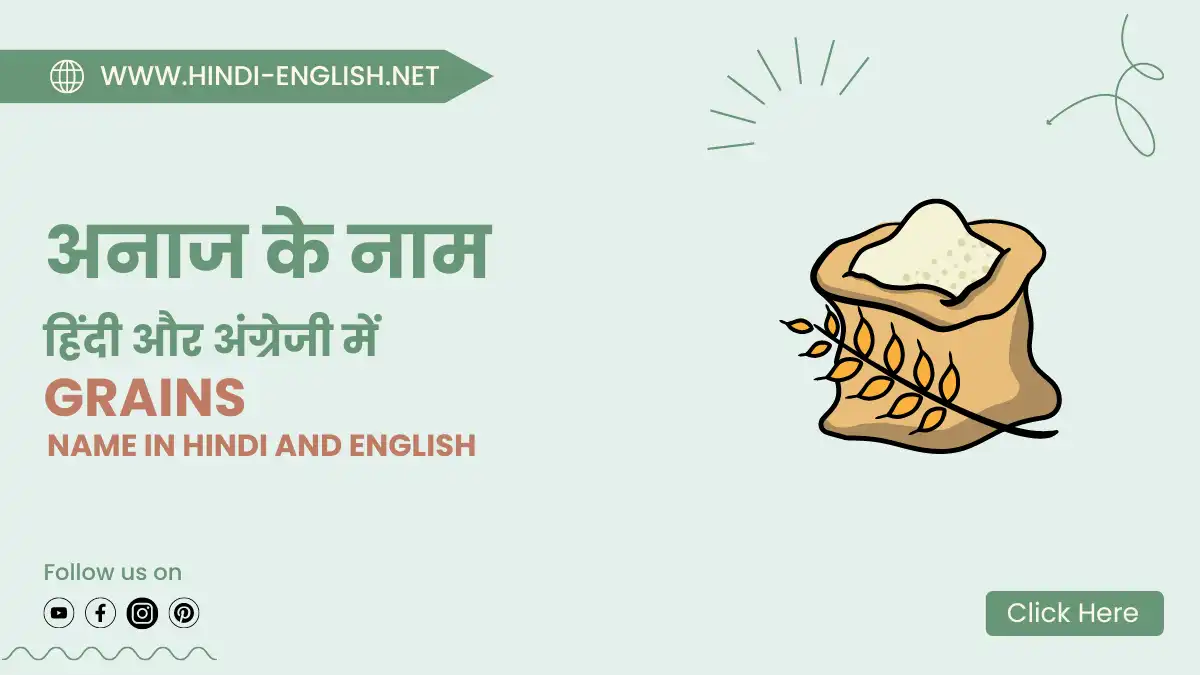 grains name in hindi and english