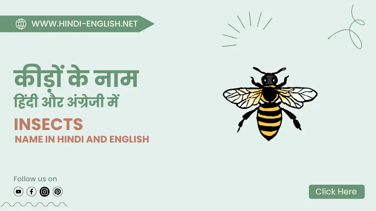 insects name in hindi and english