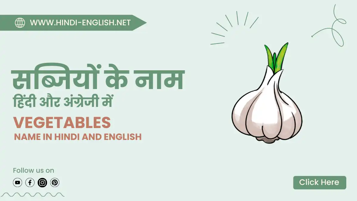 vegetables name in hindi and english