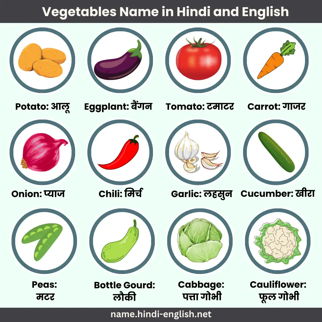 vegetables name in hindi and english- सब्जियों के नाम