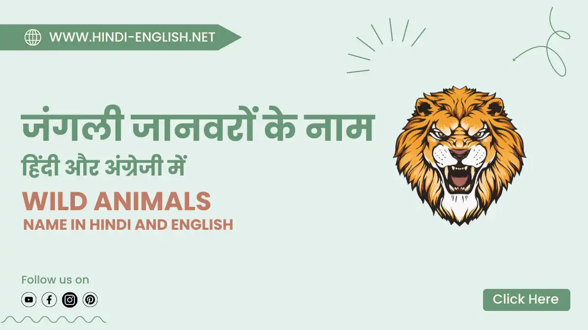 wild animals name in hindi and english