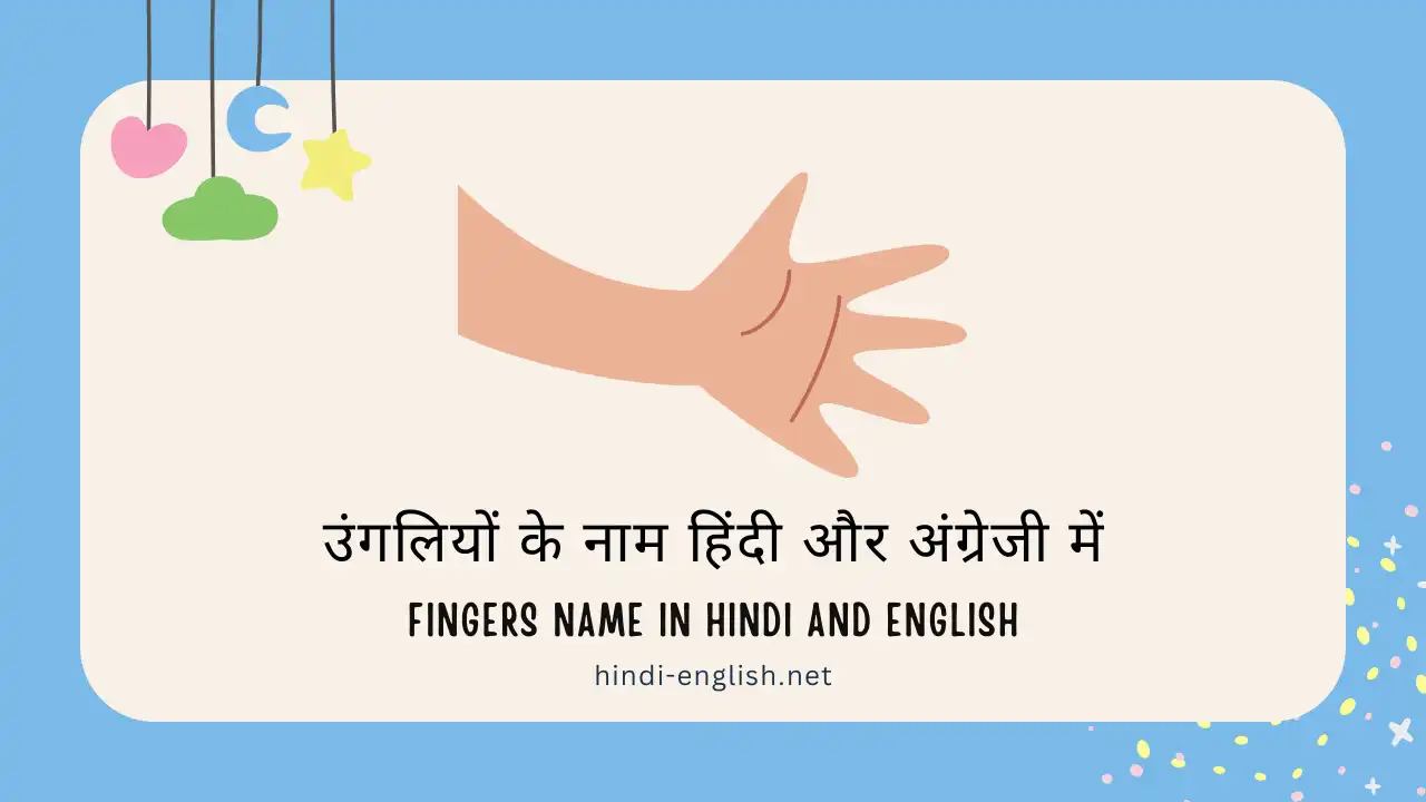 fingers name in hindi